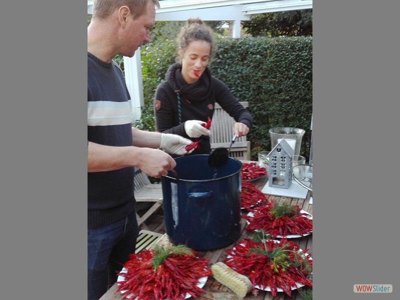 Kr&auml;ftor_2017 (3a)